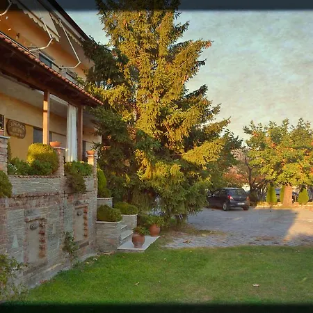 Liogerma 3*